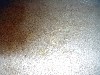 PB050104.jpg